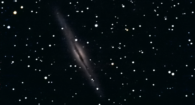 Edge-On-Galaxie NGC 891