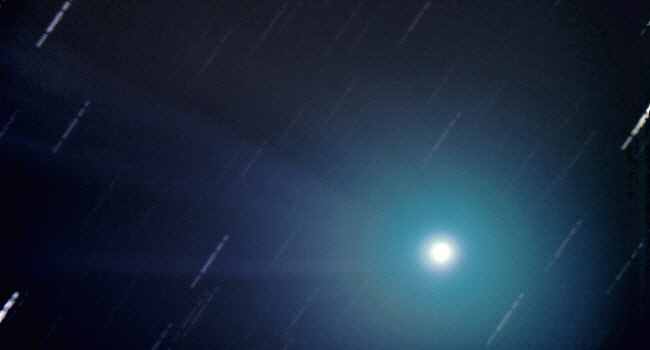 Komet Lovejoy zeigt Gasschweif