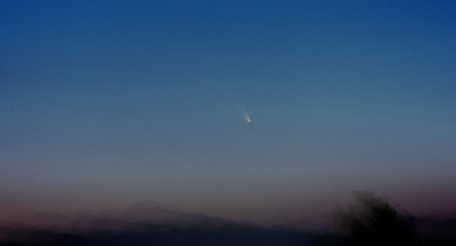 Komet Panstarrs am Abendhimmel