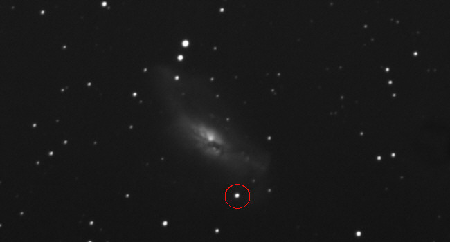 Supernova in NGC 2146